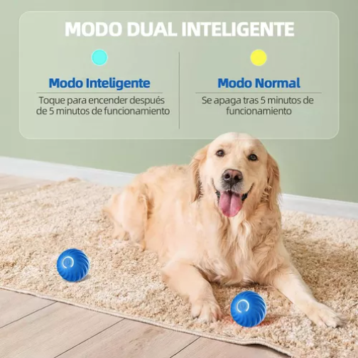 PetBall Fun ¡Pelota de Juguete Inteligente!