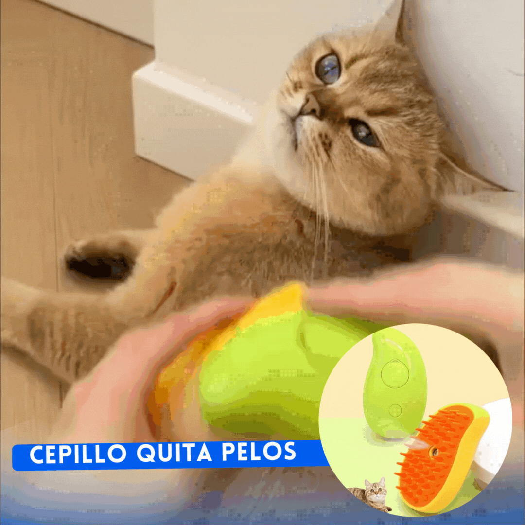 🎁 Cepillo Vapor para Mascotas