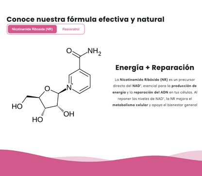 ⭐ NAD + RESVERATROL (60 CÁPSULAS) ⭐