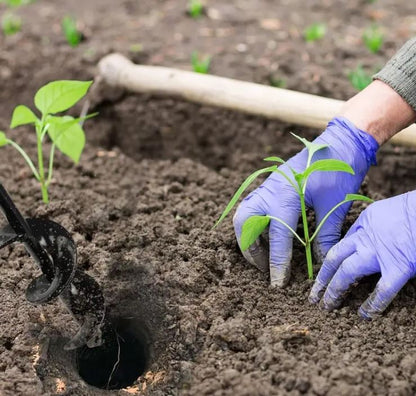Brocas Ahoyador Para Plantar Jardin