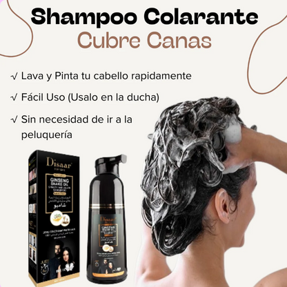 Shampoo Colorante Tinte Cubre Canas