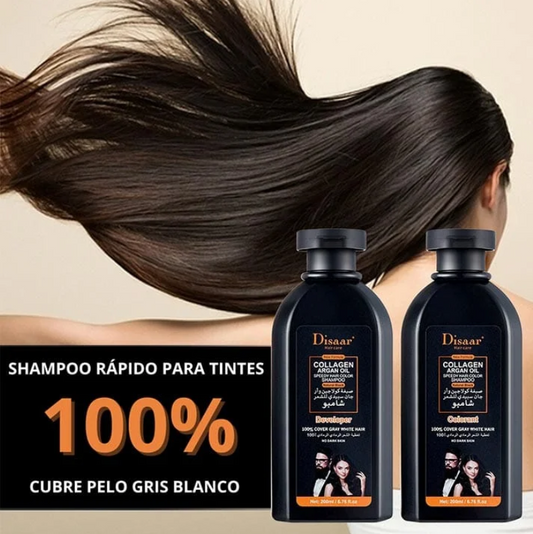 Shampoo Colorante Tinte Cubre Canas
